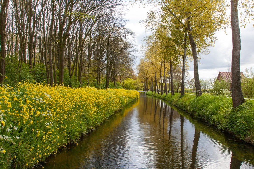 Het belang van kelder waterdicht maken: tips voor huiseigenaren in Limburg