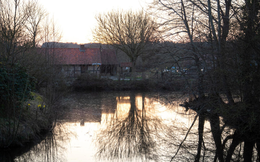 Kelder waterdicht maken limburg